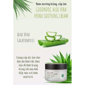 Goodndoc Aloe Vera Hydra Soothing Cream-4